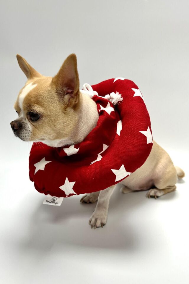 RİOBONGO Yıkanabilir Kedi & Köpek Yakalık Kırmızı No:12.5