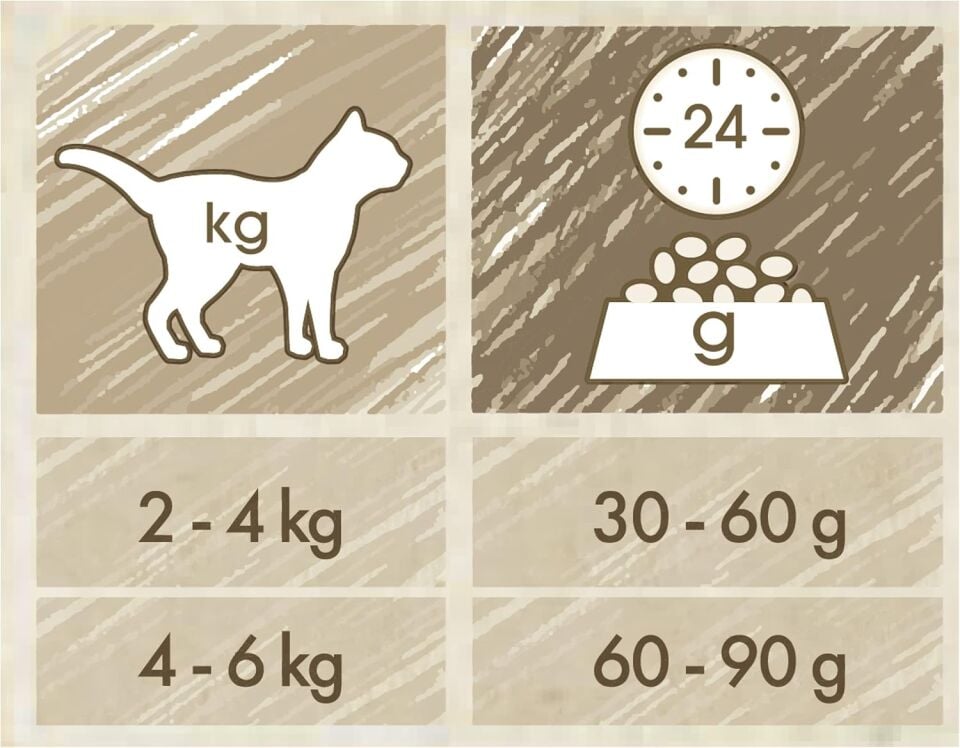 Cat Chow Somon Balıklı Yetişkin Kedi Maması 15kg