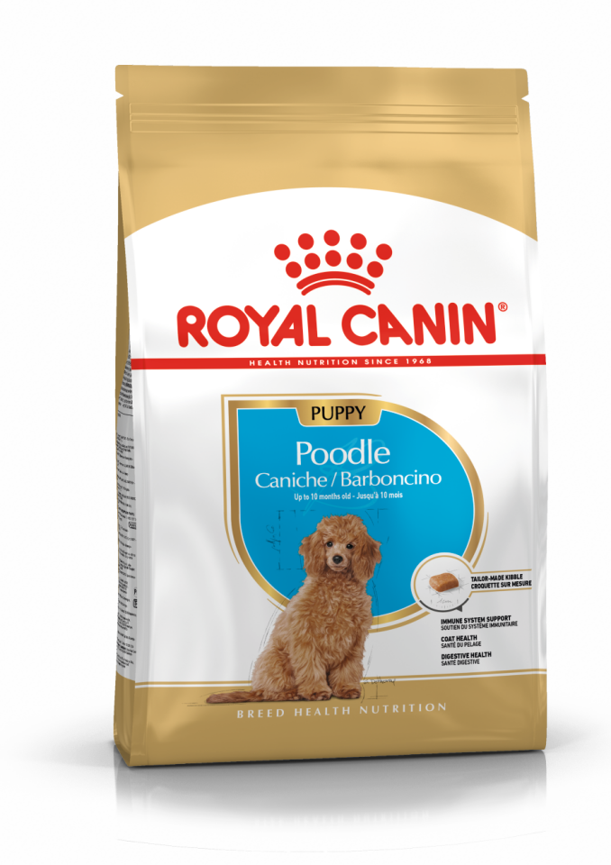 Royal Canin Poodle Irkı Yavru Köpek Maması 3kg