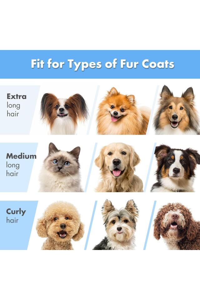 Neakasa Kedi ve Köpek Traş Makinesi P2 Pro