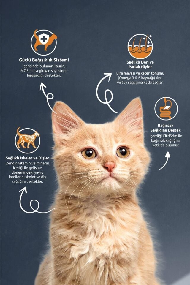 YAVRU KEDİ KİTTEN TAVUKLU PİRİNÇLİ 15 KG 1 ADET