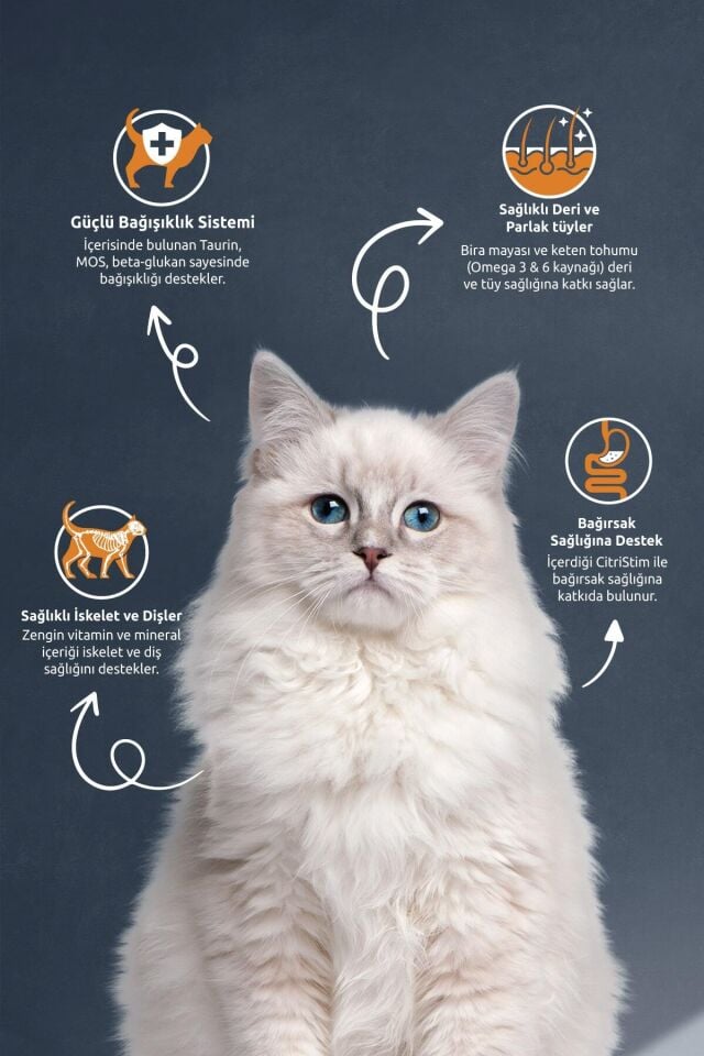 Tavuklu Pirinçli Yetişkin Kedi Maması 2 Kg
