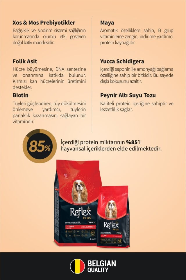 Plus Hipoalerjenik Mini ve Küçük Irklar için Kuzu Etli Yetişkin Köpek Maması 8 kg