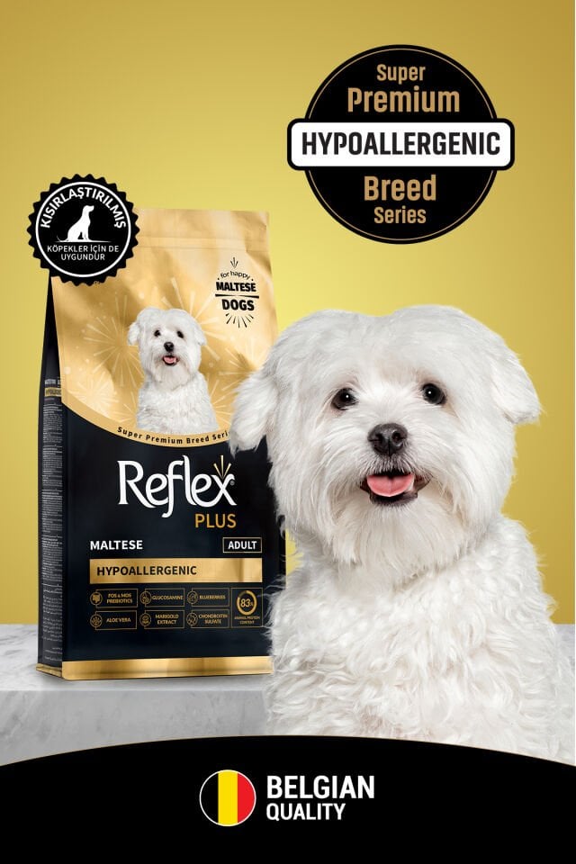 Plus Maltese Hipoalerjenik Yetişkin Köpek Maması 2 Kg