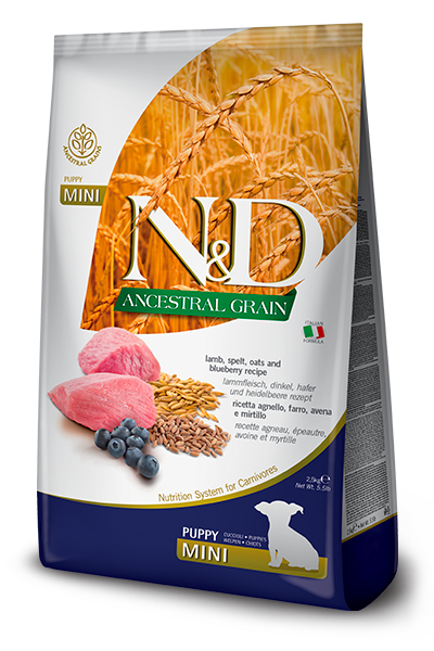 ND Ancestral Grain Düşük Tahıllı Kuzu Etli ve Yaban Mersinli Mini Puppy Yavru Köpek Maması 2,5kg﻿