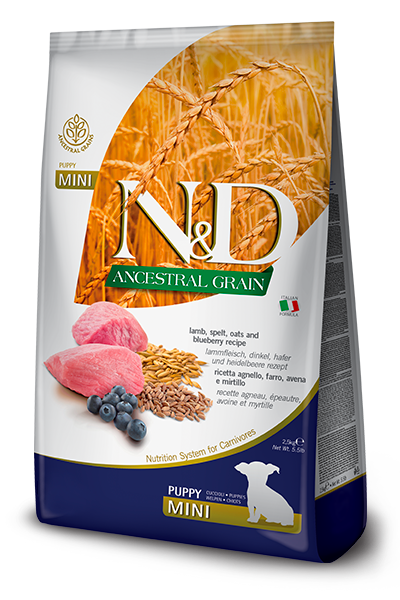 ND Ancestral Grain Düşük Tahıllı Kuzu Etli ve Yaban Mersinli Mini Puppy Yavru Köpek Maması 2,5kg﻿