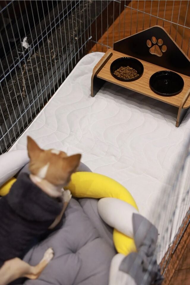 RİOBONGO | Yıkanabilir Köpek Çiş Pedi | Sıvı Geçirmez | Köpek Tuvalet Eğitimi | 60 X 60cm