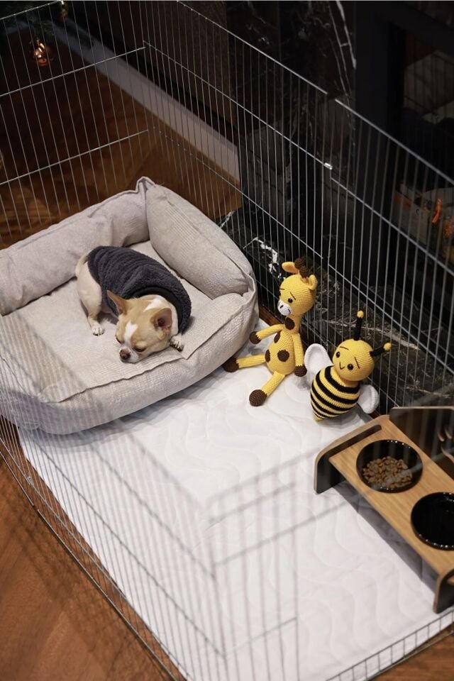 RİOBONGO | Yıkanabilir Köpek Çiş Pedi | Sıvı Geçirmez | Köpek Tuvalet Eğitimi | 45 X 60cm