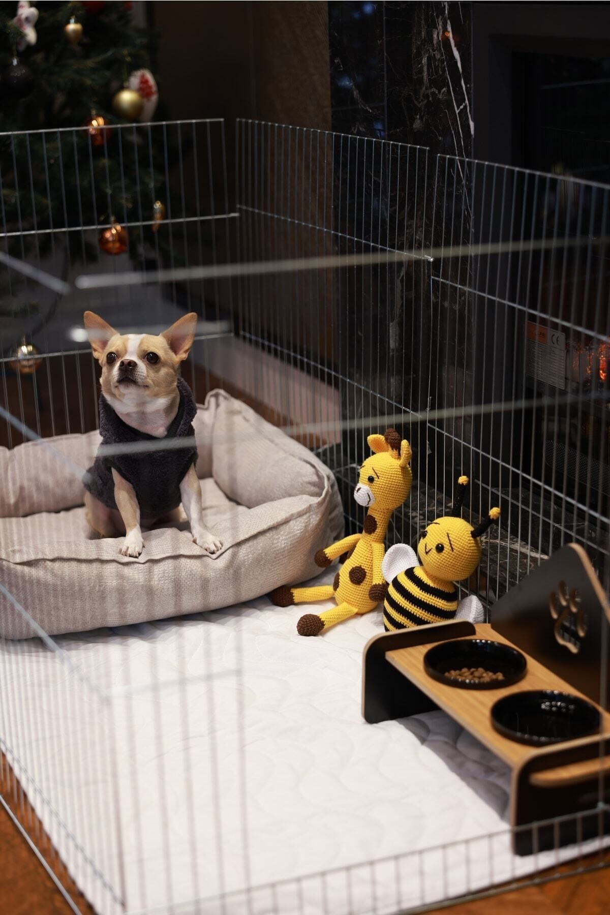 RİOBONGO | Yıkanabilir Köpek Çiş Pedi | Su Geçirmez | Köpek Tuvalet Eğitimi | Boyut 60 X 90 Cm